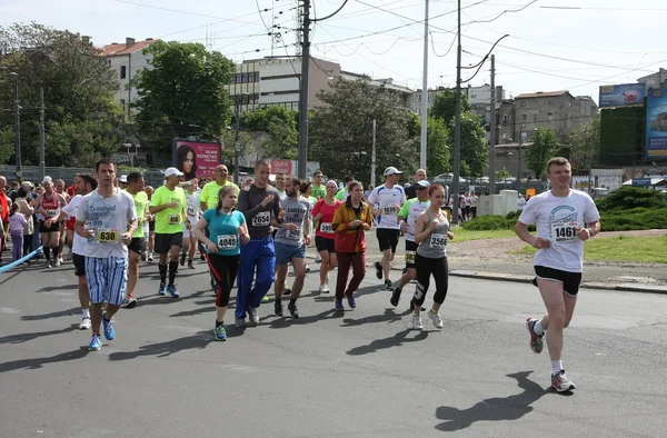 Belgrade Marathon 2014. — Stock Photo, Image