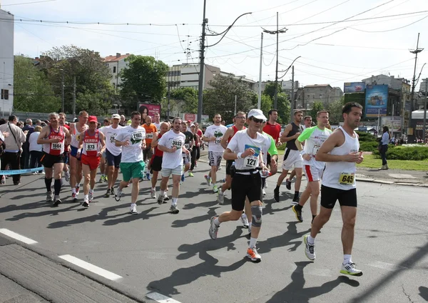 Белградский марафон 2014 . — стоковое фото