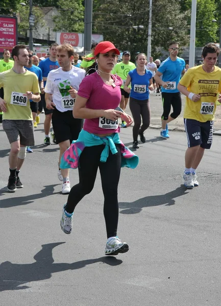 Maratona de Belgrado 2014 . — Fotografia de Stock