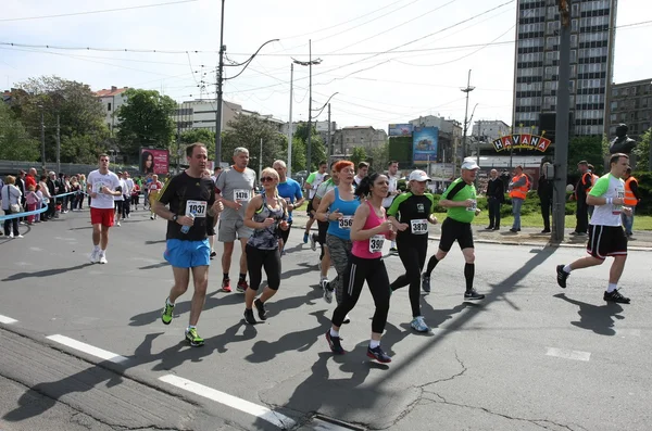 Belgrade Marathon 2014. — Stock Photo, Image