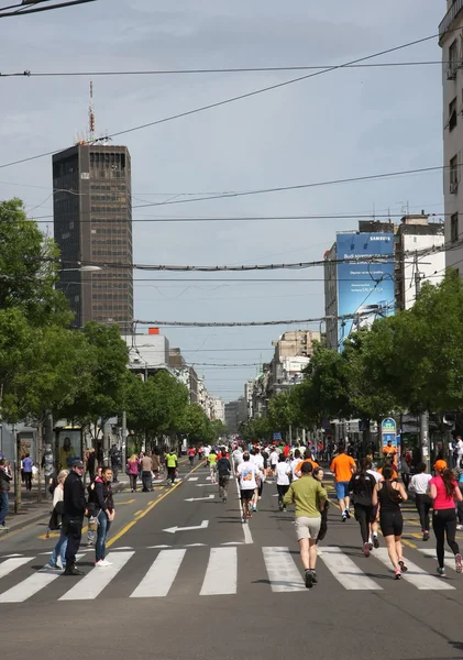 Maratona di Belgrado 2014 . — Foto Stock