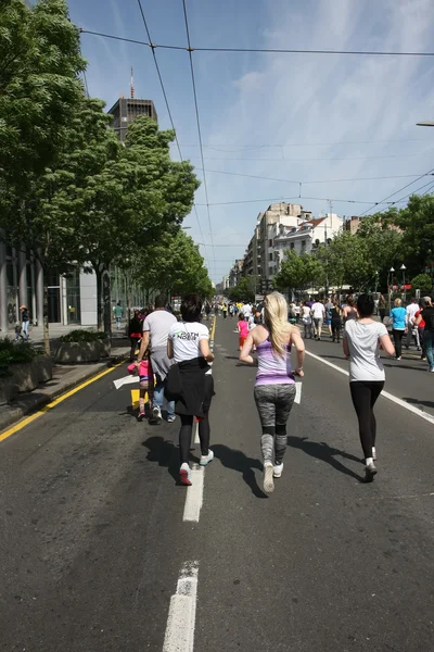 Maratona di Belgrado 2014 . — Foto Stock