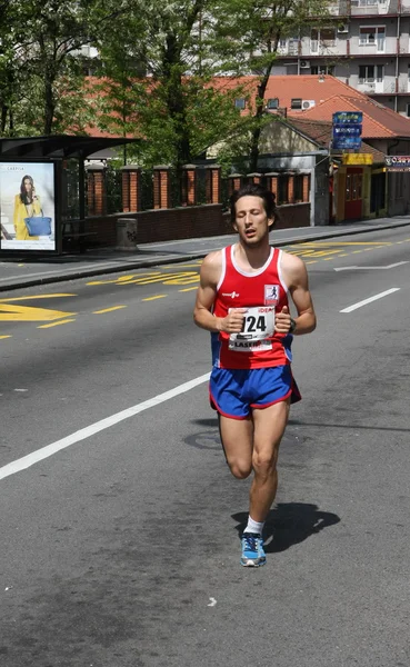 Maraton Belgradzie 2014. — Zdjęcie stockowe