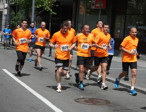 Maratón de Belgrado 2014 . — Foto de Stock