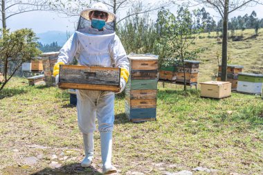 Koruyucu kıyafetli bir erkek arı yetiştiricisinin portresi tarlada ballı bir sandık bal taşıyor.
