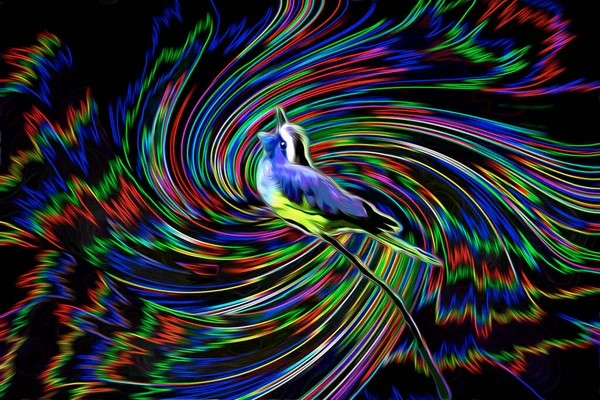 彩色编辑的鸟儿歌唱图片 免版税图库照片