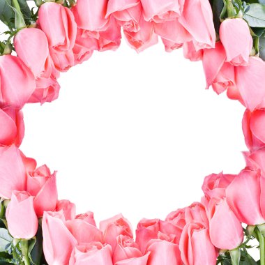 Bir buket pembe gül.