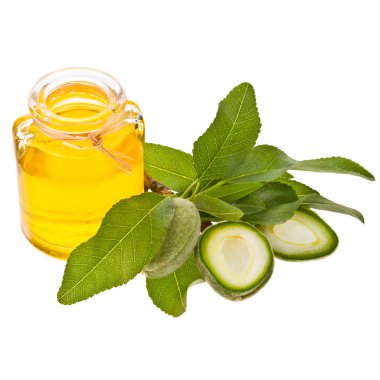 küçük cam şişe zeytinyağı ile