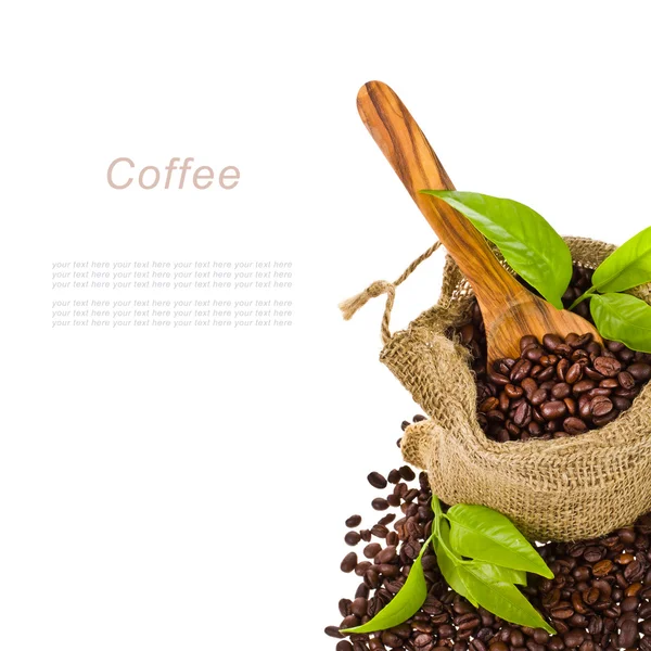 Canvas bag with coffee beans — Stock Photo, Image