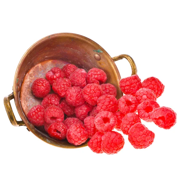 Raspberries — Stock Photo, Image