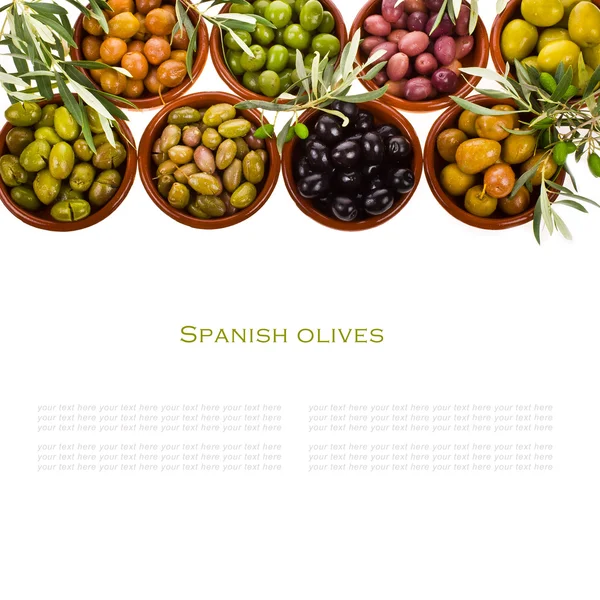 Varietà diverse di olive — Foto Stock