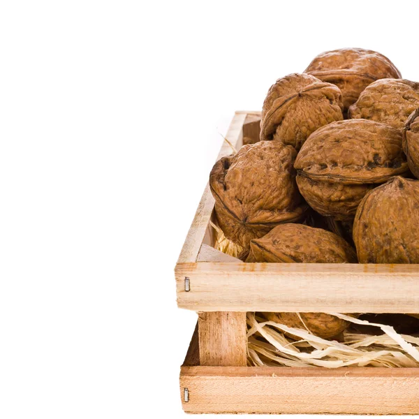 Whole walnuts — Stock Photo, Image