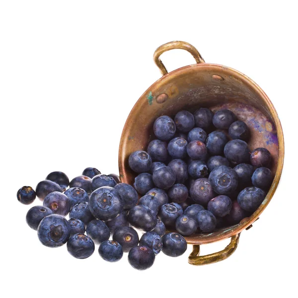 Blueberries — Stock Photo, Image