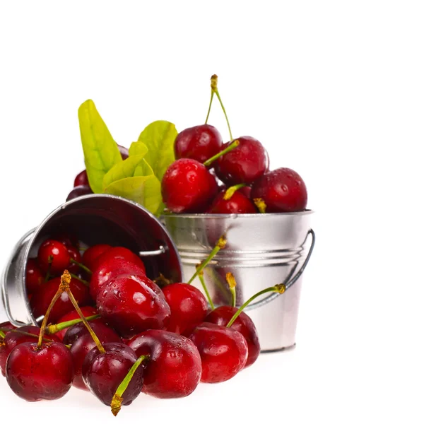 Large ripe cherries with drops of water in tin buckets — Stock Photo, Image