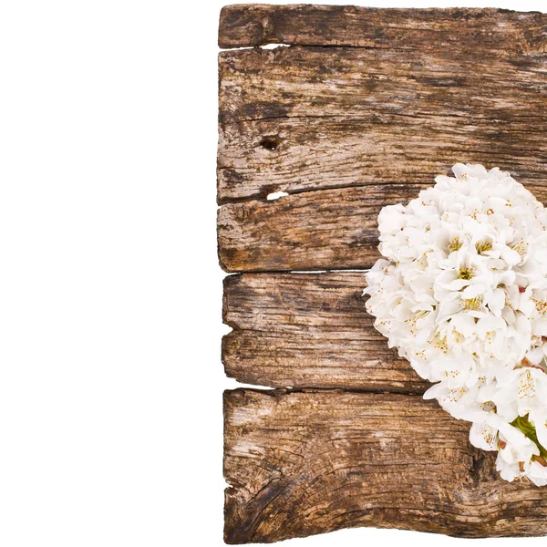 Composición de tablas viejas y flores blancas — Foto de Stock