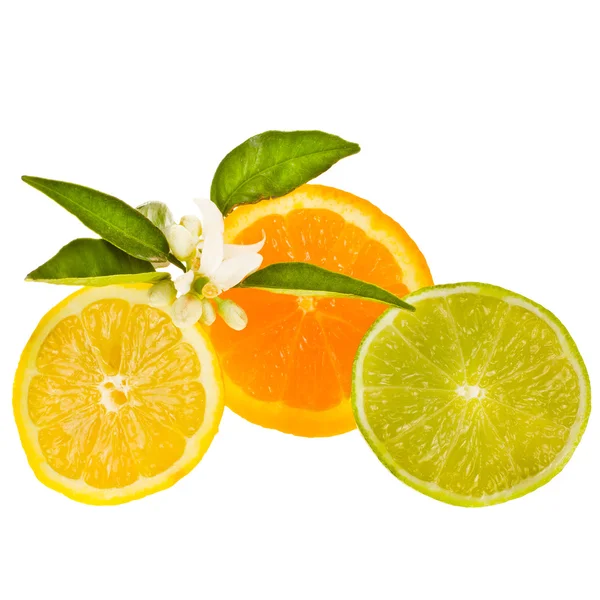 柑橘系の果物をスライスします。 — ストック写真