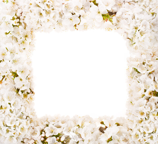 Весенние цветочные ветви