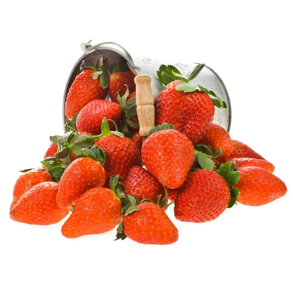 A lot of fresh strawberries and a pail . Isolated on a white background. — Stock Photo, Image