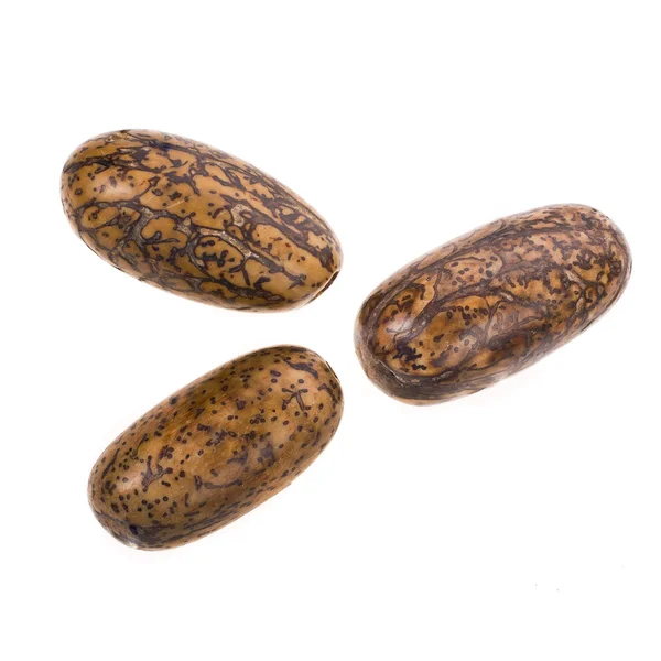 Three exotic fruit seeds close-up isolated on white background — Stock Photo, Image