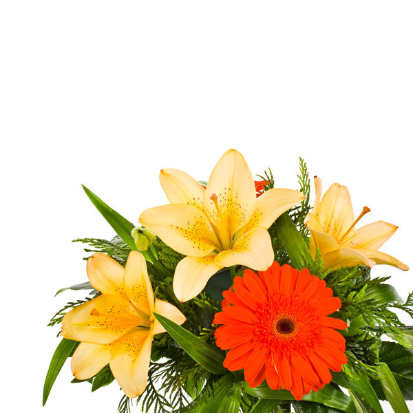 Composition of colors - cream roses and orange gerbera