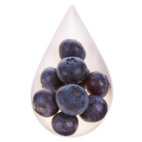 Blueberries — Stock Photo, Image