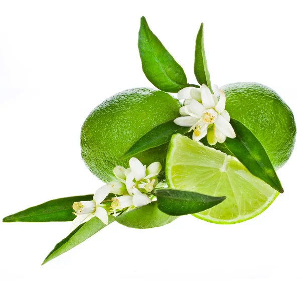 Green limes whole fruit — Stock Photo, Image