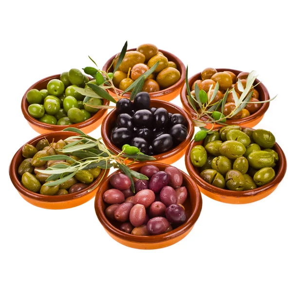 Diferentes variedades de azeitonas — Fotografia de Stock