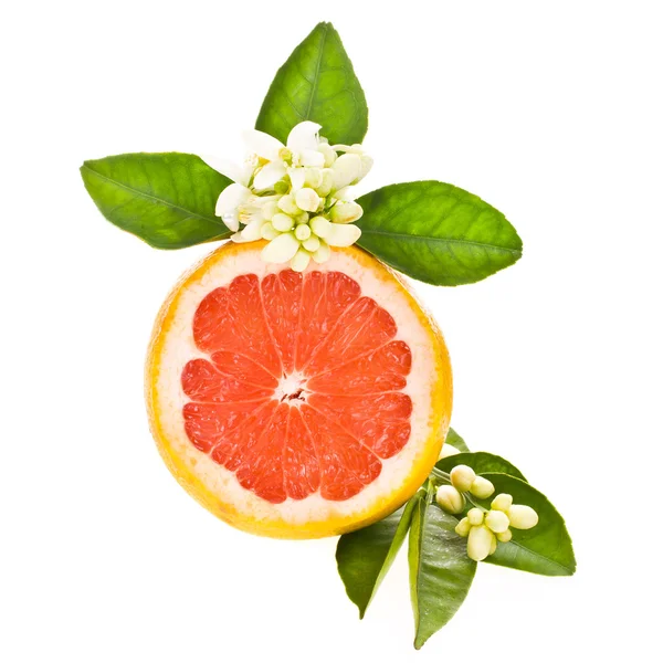 Цитрусовые фрукты - грейпфрут — стоковое фото