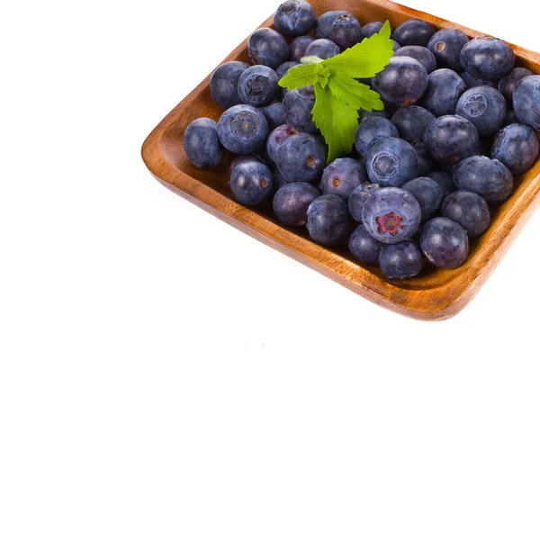 Blaubeeren — Stockfoto