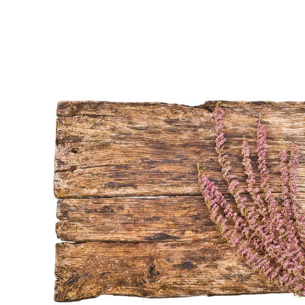 Wooden board decorated with branches isolated on white background — Stock Photo, Image