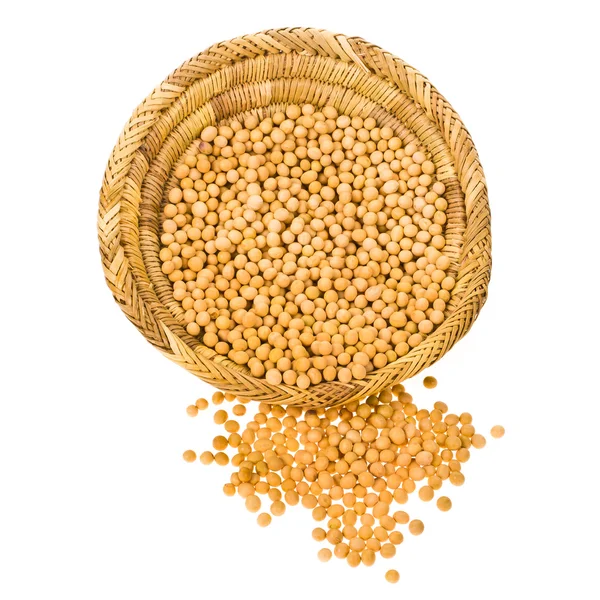 Soy beans — Stock Photo, Image