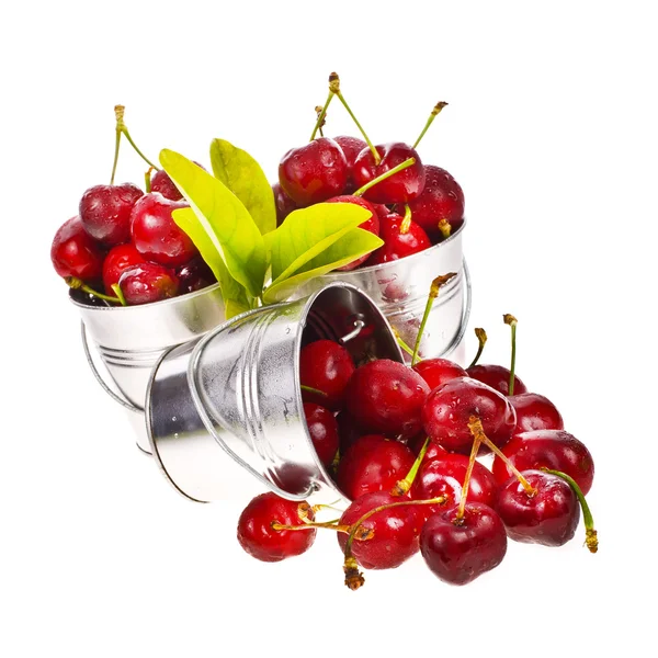 Large ripe cherries with drops of water in tin buckets — Stock Photo, Image