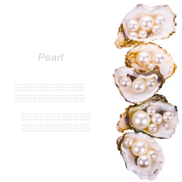 大きな真珠、カキ殻の小粒の真珠 — ストック写真