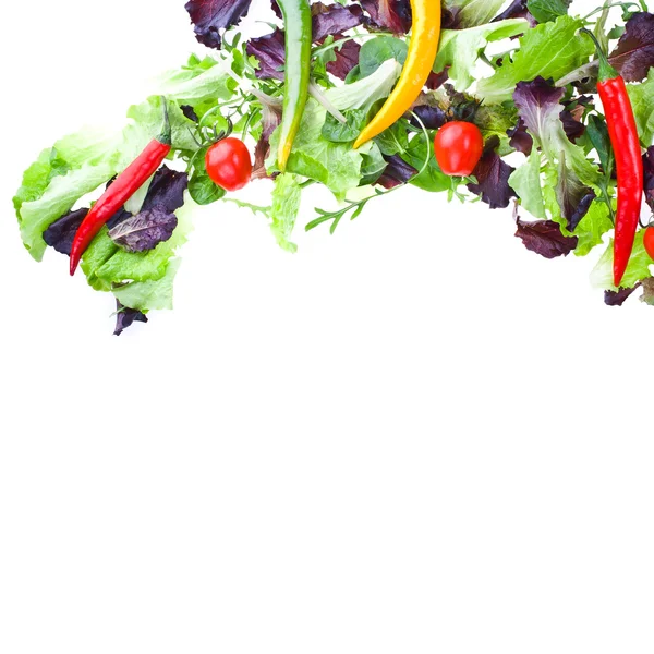 Fresh vegetables and lettuce — Stock Photo, Image