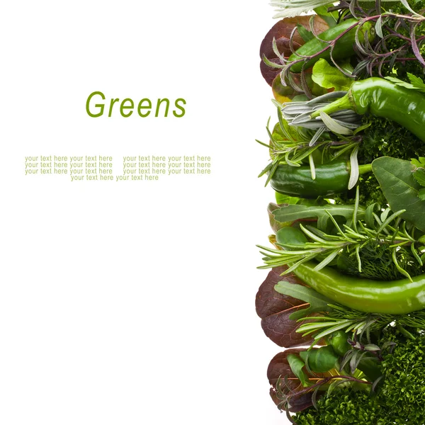 Frisches grünes Gemüse und Kräuter — Stockfoto
