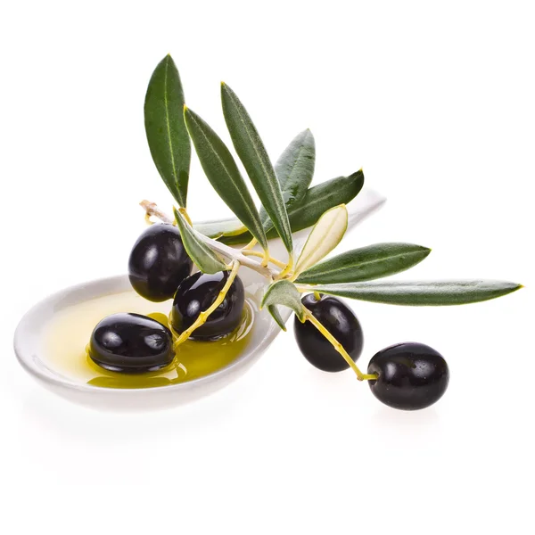 Miska s olivovým olejem — Stock fotografie