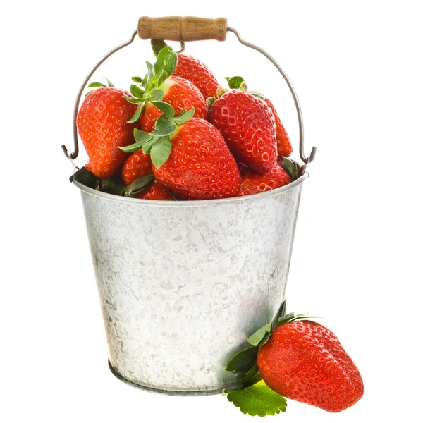 Viele frische Erdbeeren und ein Eimer. isoliert auf weißem Hintergrund. — Stockfoto