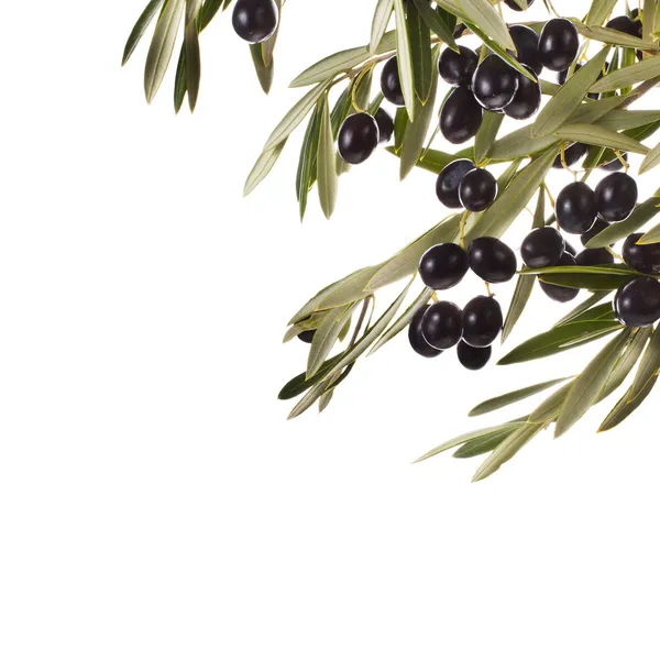 Black olives — Stock Photo, Image