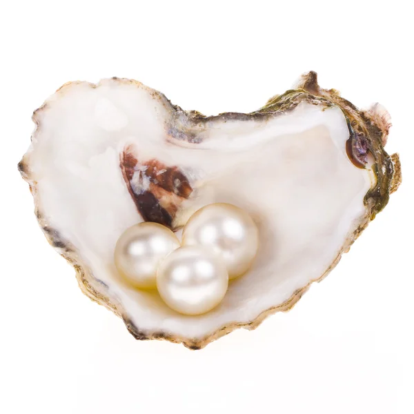 Big pearl in an oyster shell — Stock Photo, Image