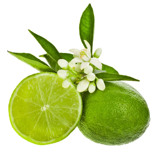 Gröna limefrukter — Stockfoto