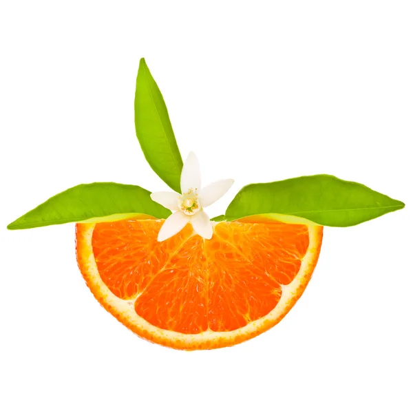 Свіжі апельсинові скибочки зі свіжим листям — стокове фото