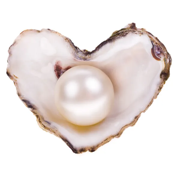 Grote parel in een oester schelp — Stockfoto