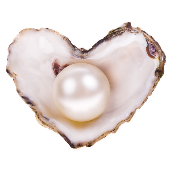 Big pearl in an oyster shell