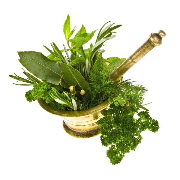 Fresh herbs a copper mortar isolated on a white background — Stock Photo, Image