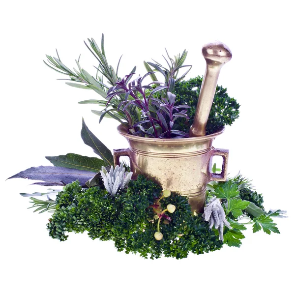 Fresh herbs a copper mortar — Stock Photo, Image