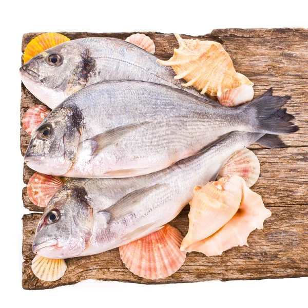 Fresh Dorado — Stock Photo, Image