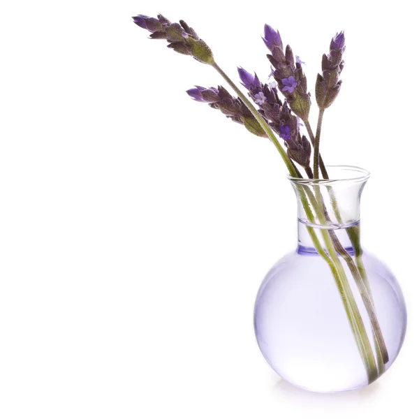 Lavendelblütenwasser in einer Glasflasche — Stockfoto