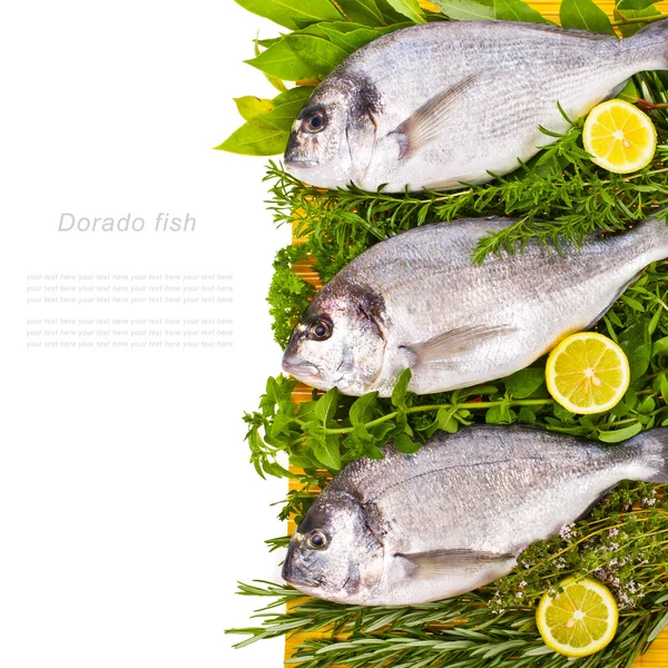 Fresh Dorado fish with fresh leaves and herbs and lemon — Stock Photo, Image
