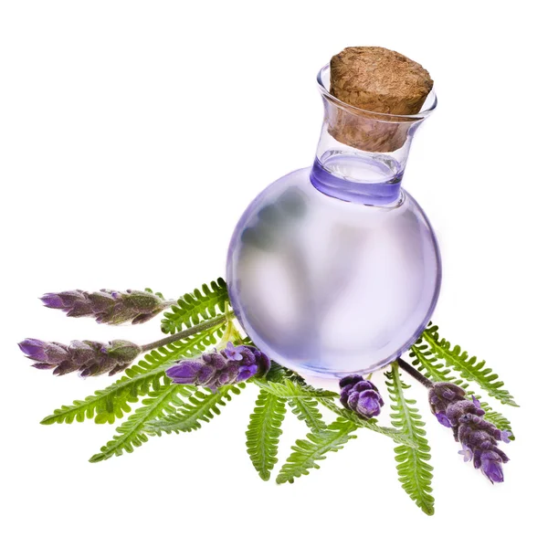 Lavendelblütenwasser in einer Glasflasche mit Blüten — Stockfoto