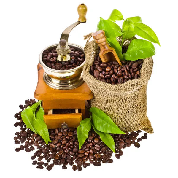 Bag of coffee beans — Stock Photo, Image